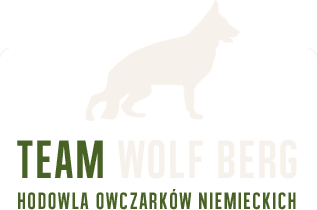 Team Wolf Berg, hodowla Owczarków Niemieckich